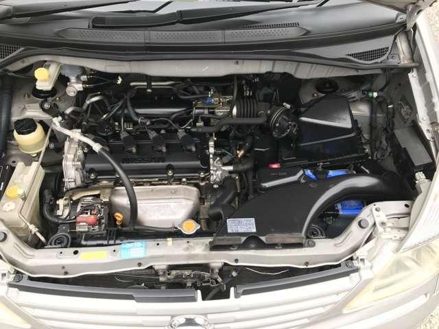 キタキツネ(18枚目)