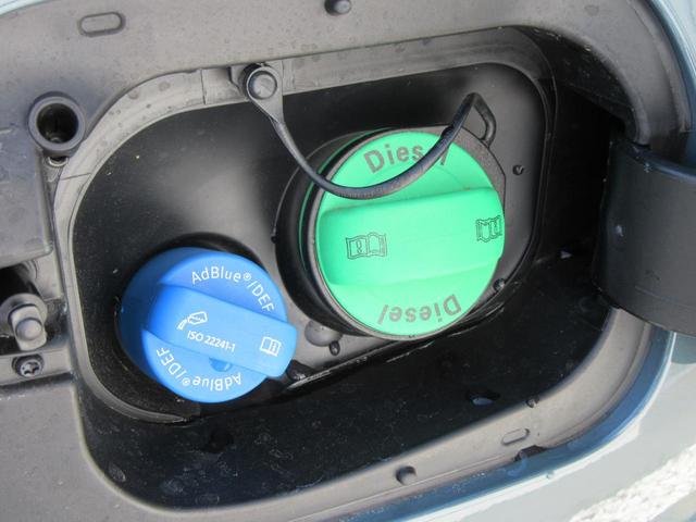 Ｔ－ロック ＴＤＩ　Ｒライン　ブラックスタイル（43枚目）