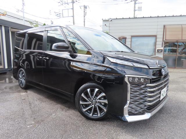 ヴォクシー ハイブリッドＳ－Ｚ　バックカメラ　１０．５型ナビ　ＴＶ　クリアランスソナー　オートクルーズコントロール　レーンアシスト　衝突被害軽減システム　両側電動スライドドア　オートマチックハイビーム　ＬＥＤヘッドランプ　フルエアロ（21枚目）