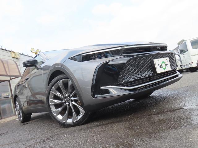 この度は当店のお車をご覧になっていただき、誠にありがとうございます。ぜひじっくりとご検討下さい。気軽にお問合せ・お見積りお待ちしております。