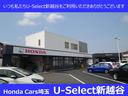 Ｇ・Ｌホンダセンシング　ケンウッドメモリーナビＢｌｕｅｔｏｏｔｈドラレコＥＴＣＲカメラワンオーナー　地デジＴＶ　助手席エアバッグ　キーレス　シートＨ　アイドリングＳＴ　セキュリティーアラーム　スマ－トキ－　リアカメラ　ＵＳＢ（29枚目）