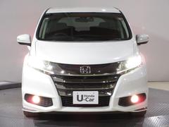 ϥ뤯󤯤ޤǤʤ¿Τ̣ţĥإåɥ饤Ȥѡȼͼξ岼ưĴ륪ȥ٥󥰵˺ɻߤǤ륪ȥ饤ȥȥ뵡դǤ 6