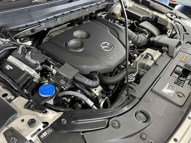 ＣＸ－８ ＸＤ　スマートエディション　ユーザー買取　７人乗　１オナ車　純正１０．２５型センターディスプレイ　地デジ　３６０℃ビューカメラ　ＥＴＣ　前後ドライブレコーダー　リアパワーゲート　前席シートヒータ　Ｐスタート　衝突被害軽減ブレーキ（30枚目）