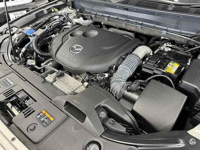 ＣＸ－８ ＸＤ　スマートエディション　ユーザー買取　７人乗　１オナ車　純正１０．２５型センターディスプレイ　地デジ　３６０℃ビューカメラ　ＥＴＣ　前後ドライブレコーダー　リアパワーゲート　前席シートヒータ　Ｐスタート　衝突被害軽減ブレーキ（31枚目）