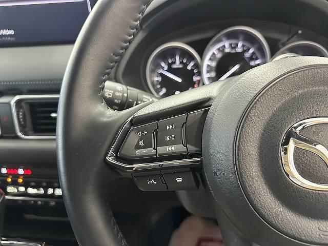 ＣＸ－８ ＸＤ　スマートエディション　ユーザー買取　７人乗　１オナ車　純正１０．２５型センターディスプレイ　地デジ　３６０℃ビューカメラ　ＥＴＣ　前後ドライブレコーダー　リアパワーゲート　前席シートヒータ　Ｐスタート　衝突被害軽減ブレーキ（34枚目）