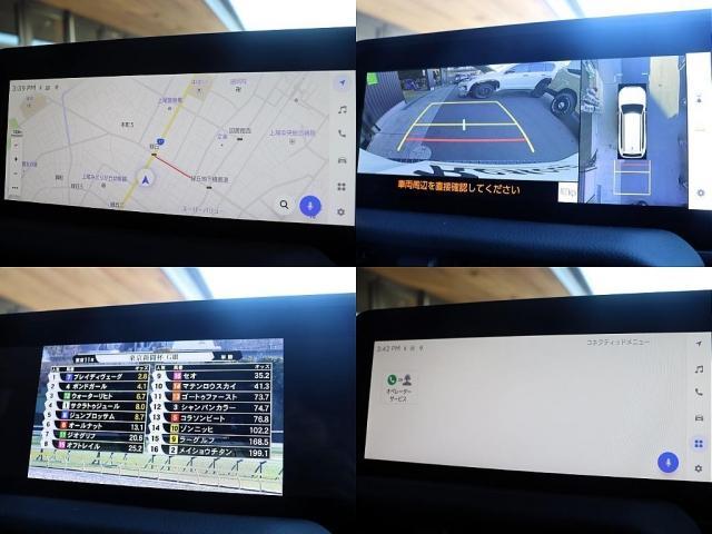 ランドクルーザー２５０ ＶＸファーストエディション　フードモールディング　ラジエーターグリル　バンパー＆グリルプロテクター　カラードアウトサイドドアハンドル　バックドアガーニッシュ　リヤバンパーガード　ドライバーモニターカメラ　ステアリングスイッチ加飾（15枚目）
