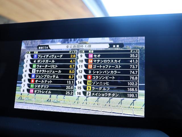 ランドクルーザー２５０ ＶＸファーストエディション　フードモールディング　ラジエーターグリル　バンパー＆グリルプロテクター　カラードアウトサイドドアハンドル　バックドアガーニッシュ　リヤバンパーガード　ドライバーモニターカメラ　ステアリングスイッチ加飾（44枚目）