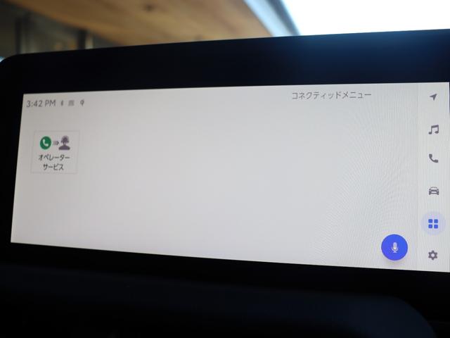 ランドクルーザー２５０ ＶＸファーストエディション　フードモールディング　ラジエーターグリル　バンパー＆グリルプロテクター　カラードアウトサイドドアハンドル　バックドアガーニッシュ　リヤバンパーガード　ドライバーモニターカメラ　ステアリングスイッチ加飾（46枚目）