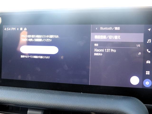 ランドクルーザー２５０ ＶＸファーストエディション　フードモールディング　ラジエーターグリル　バンパー＆グリルプロテクター　カラードアウトサイドドアハンドル　バックドアガーニッシュ　リヤスポイラー　ドライバーモニターカメラ　ステアリングスイッチ加飾（29枚目）