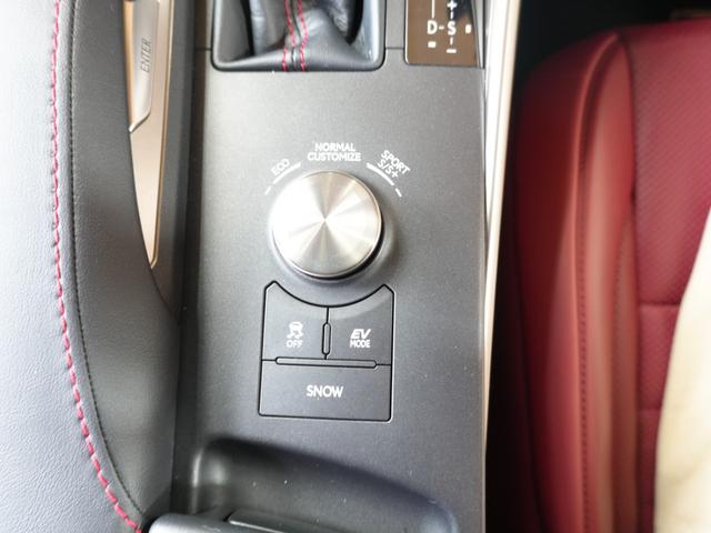 IS IS300h Fスポーツ RSK車高調 ブリッツエアクリ ISF純正19AW ナビ フルセグ 赤革シート 前席シートヒーター&エアコン パドルシフト LDA PCS ブルーレイ再生 ETC2.0 追従式クルコン 社外ドラレコ(30枚目)