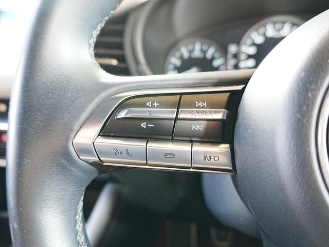 ＭＡＺＤＡ３ファストバック １５Ｓ　１００周年特別記念車　純正ナビ　フルセグＴＶ　Ｂｌｕｅｔｏｏｔｈ　全方位カメラ　シグネチャスタイルＰＫＧ　ユーザー買取　ステアスイッチ　アイドリングストップ　ＢＯＳＥスピーカー　３６０度セーフティＰＫＧ　タワーバー　マット（19枚目）