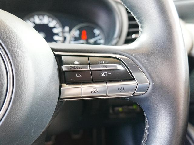 ＭＡＺＤＡ３ファストバック １５Ｓ　１００周年特別記念車　純正ナビ　フルセグＴＶ　Ｂｌｕｅｔｏｏｔｈ　全方位カメラ　シグネチャスタイルＰＫＧ　ユーザー買取　ステアスイッチ　アイドリングストップ　ＢＯＳＥスピーカー　３６０度セーフティＰＫＧ　タワーバー　マット（22枚目）