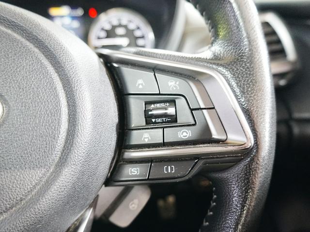 フォレスター プレミアム　純正ナビ　フルセグテレビ　前席ヒーシーター　パワーバッグドア　ルーフレール　ＳＴＩリップスポイラー　アイドリングストップ　ステアスイッチ　パドルシフト　Ｐスタート　スマートキー　ステアヒーター　ＥＴＣ（24枚目）