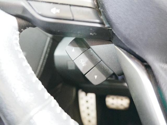 フォレスター プレミアム　純正ナビ　フルセグテレビ　前席ヒーシーター　パワーバッグドア　ルーフレール　ＳＴＩリップスポイラー　アイドリングストップ　ステアスイッチ　パドルシフト　Ｐスタート　スマートキー　ステアヒーター　ＥＴＣ（25枚目）