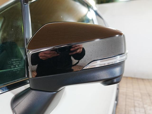 フォレスター プレミアム　純正ナビ　フルセグテレビ　前席ヒーシーター　パワーバッグドア　ルーフレール　ＳＴＩリップスポイラー　アイドリングストップ　ステアスイッチ　パドルシフト　Ｐスタート　スマートキー　ステアヒーター　ＥＴＣ（63枚目）