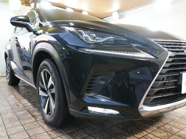 NX NX300 バージョンL 純正ナビ バックカメラ フルセグTV Bluetooth 本革シート ワンオーナー パワーシート シートヒーター シートエアコン ステアスイッチ パドルシフト ステアヒーター プッシュスタート(65枚目)