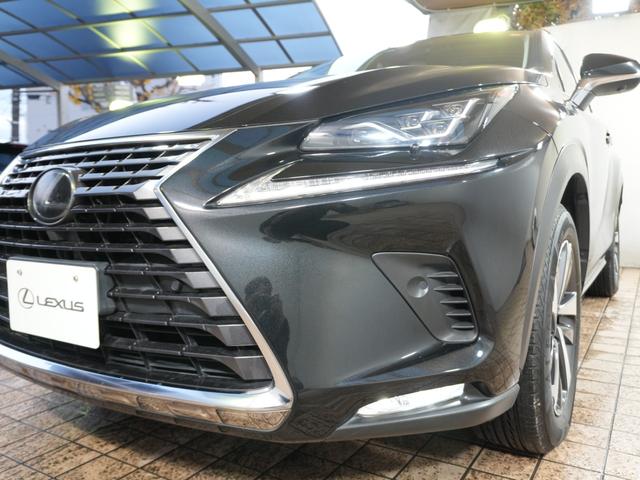 NX NX300 バージョンL 純正ナビ バックカメラ フルセグTV Bluetooth 本革シート ワンオーナー パワーシート シートヒーター シートエアコン ステアスイッチ パドルシフト ステアヒーター プッシュスタート(66枚目)