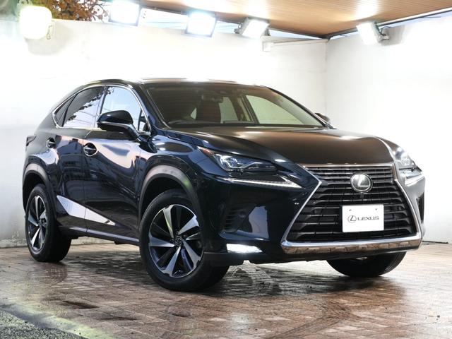 NX NX300 バージョンL 純正ナビ バックカメラ フルセグTV Bluetooth 本革シート ワンオーナー パワーシート シートヒーター シートエアコン ステアスイッチ パドルシフト ステアヒーター プッシュスタート(67枚目)