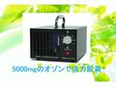 ベースグレード　ワンオ－ナ－　タイミングベルト交換済　保証書　取扱説明書　ナルディ製純正ステアリング　ＲＥＣＡＲＯ製純正セミバケットシート　デ・トマソ専用純正アルミホイール　デ・トマソ専用エアロ　純正マフラー（58枚目）