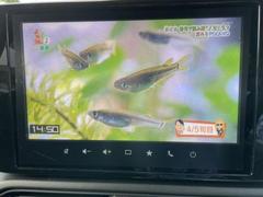 ＴＶつきのお車となっており、楽しいドライブを行うことができます。 7