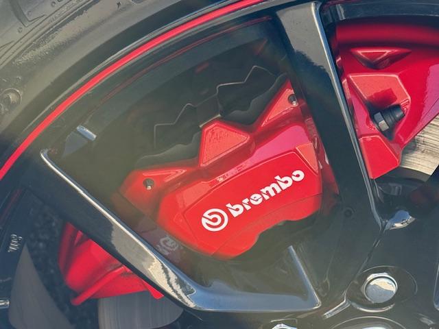 シビック タイプR 社外ナビ バックカメラ 6MT ETC ドライブレコーダー前後 CD・DVD再生 Bluetooth LEDヘッドライト HondaSENSING 純正アルミホイール bremboキャリパー(14枚目)