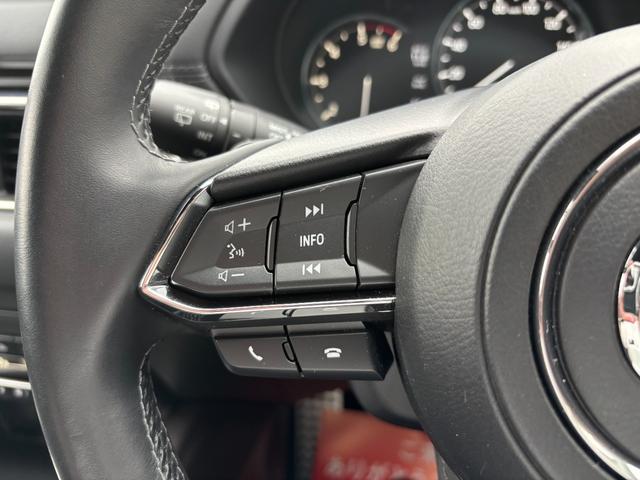 ＣＸ－５ ＸＤ　エクスクルーシブモード　４ＷＤ　ナビ　フルセグＴＶ　ＥＴＣ２．０　ドラレコ　ＢＯＳＥ　デイライトキット　シートエアコン　アルミペダル　全席シートヒーター　レザーシート　パワーシート　パワーリフトゲート　バーグラアラーム（27枚目）