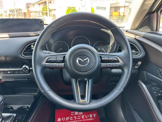 ＣＸ－３０ ＸＤ　プロアクティブ　ツーリングセレクション　シグネチャースタイル　ブラックレザーＰＫＧ　３６０°セーフティＰＫＧ　ナビＴＶ　ＥＴＣ２．０光ビーコン付　前後ドラレコ　エンジンスターター　スカッフプレート　パワーシート　シートヒーター（5枚目）