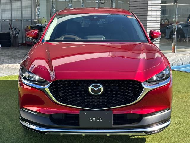 ＣＸ－３０ ＸＤ　プロアクティブ　ツーリングセレクション　シグネチャースタイル　ブラックレザーＰＫＧ　３６０°セーフティＰＫＧ　ナビＴＶ　ＥＴＣ２．０光ビーコン付　前後ドラレコ　エンジンスターター　スカッフプレート　パワーシート　シートヒーター（15枚目）