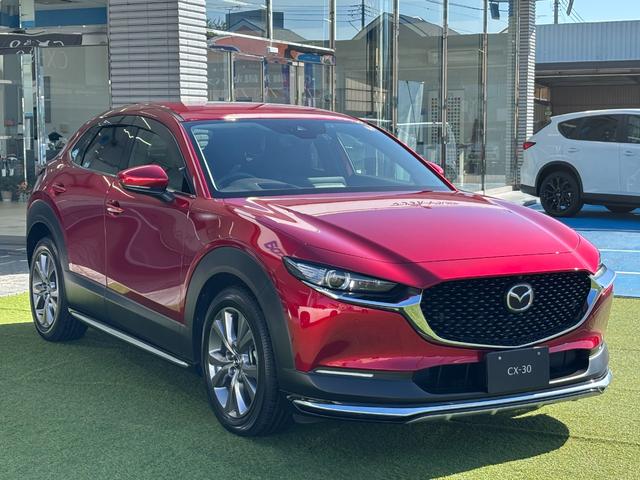 ＣＸ－３０ ＸＤ　プロアクティブ　ツーリングセレクション　シグネチャースタイル　ブラックレザーＰＫＧ　３６０°セーフティＰＫＧ　ナビＴＶ　ＥＴＣ２．０光ビーコン付　前後ドラレコ　エンジンスターター　スカッフプレート　パワーシート　シートヒーター（16枚目）
