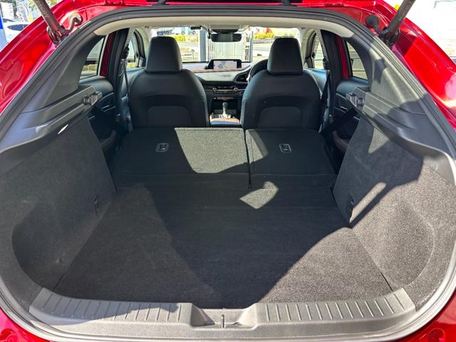 ＣＸ－３０ ＸＤ　プロアクティブ　ツーリングセレクション　シグネチャースタイル　ブラックレザーＰＫＧ　３６０°セーフティＰＫＧ　ナビＴＶ　ＥＴＣ２．０光ビーコン付　前後ドラレコ　エンジンスターター　スカッフプレート　パワーシート　シートヒーター（56枚目）