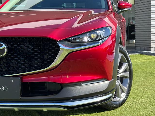 ＣＸ－３０ ＸＤ　プロアクティブ　ツーリングセレクション　シグネチャースタイル　ブラックレザーＰＫＧ　３６０°セーフティＰＫＧ　ナビＴＶ　ＥＴＣ２．０光ビーコン付　前後ドラレコ　エンジンスターター　スカッフプレート　パワーシート　シートヒーター（58枚目）