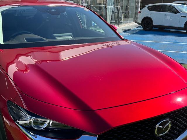 ＣＸ－３０ ＸＤ　プロアクティブ　ツーリングセレクション　シグネチャースタイル　ブラックレザーＰＫＧ　３６０°セーフティＰＫＧ　ナビＴＶ　ＥＴＣ２．０光ビーコン付　前後ドラレコ　エンジンスターター　スカッフプレート　パワーシート　シートヒーター（59枚目）