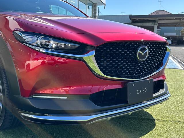 ＣＸ－３０ ＸＤ　プロアクティブ　ツーリングセレクション　シグネチャースタイル　ブラックレザーＰＫＧ　３６０°セーフティＰＫＧ　ナビＴＶ　ＥＴＣ２．０光ビーコン付　前後ドラレコ　エンジンスターター　スカッフプレート　パワーシート　シートヒーター（60枚目）