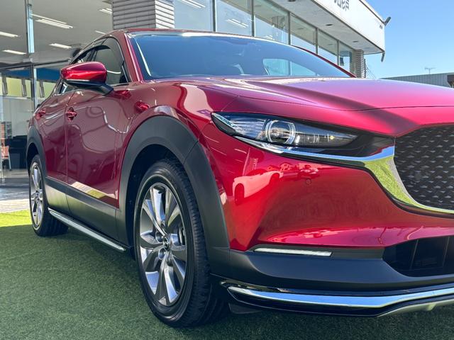 ＣＸ－３０ ＸＤ　プロアクティブ　ツーリングセレクション　シグネチャースタイル　ブラックレザーＰＫＧ　３６０°セーフティＰＫＧ　ナビＴＶ　ＥＴＣ２．０光ビーコン付　前後ドラレコ　エンジンスターター　スカッフプレート　パワーシート　シートヒーター（62枚目）