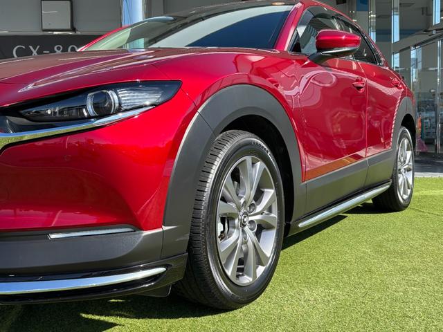 ＣＸ－３０ ＸＤ　プロアクティブ　ツーリングセレクション　シグネチャースタイル　ブラックレザーＰＫＧ　３６０°セーフティＰＫＧ　ナビＴＶ　ＥＴＣ２．０光ビーコン付　前後ドラレコ　エンジンスターター　スカッフプレート　パワーシート　シートヒーター（74枚目）