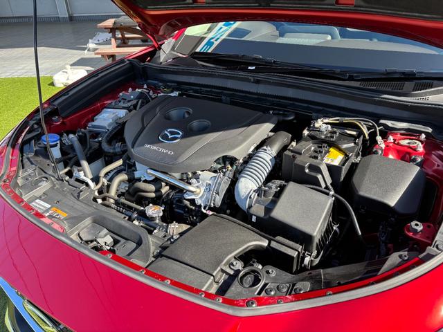 ＣＸ－３０ ＸＤ　プロアクティブ　ツーリングセレクション　シグネチャースタイル　ブラックレザーＰＫＧ　３６０°セーフティＰＫＧ　ナビＴＶ　ＥＴＣ２．０光ビーコン付　前後ドラレコ　エンジンスターター　スカッフプレート　パワーシート　シートヒーター（75枚目）