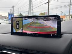 ֣ӥ塼˥ξ庸ˤ룴ĤΥ򤵤ޤޤԾ˱ڤؤƥ󥿡ǥץ쥤ɽѤ㳲ʪȤεΥǧǤ褦ˤʤ򥵥ݡȡ 5