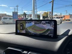 ֣ӥ塼˥ξ庸ˤ룴ĤΥ򤵤ޤޤԾ˱ڤؤƥ󥿡ǥץ쥤ɽѤ㳲ʪȤεΥǧǤ褦ˤʤ򥵥ݡȡ 5