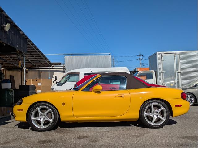 露出の関係で若干オレンジがかっていますが、イエローが強いです