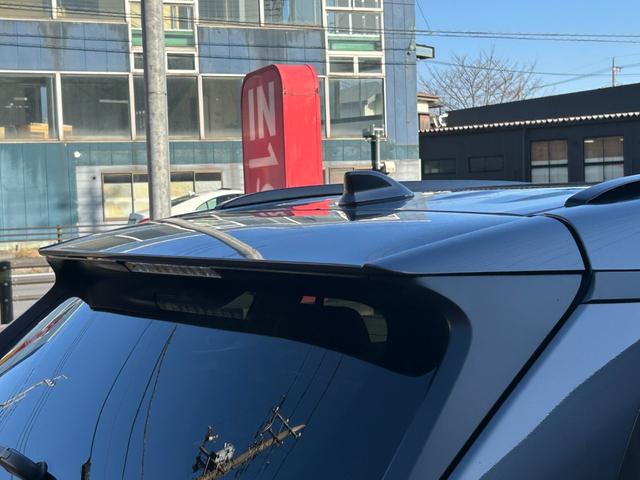 ＲＡＶ４ ハイブリッドアドベンチャー　パノラマムーンルーフ　デジタルインナーミラー　純正ＳＤナビ　バックモニター　シートヒーター　ワンオーナー　スマートキー２つ（42枚目）