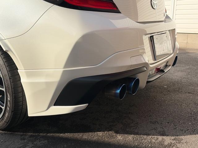 �y�f�q���A�o���p�[�X�|�C���[�����I�z