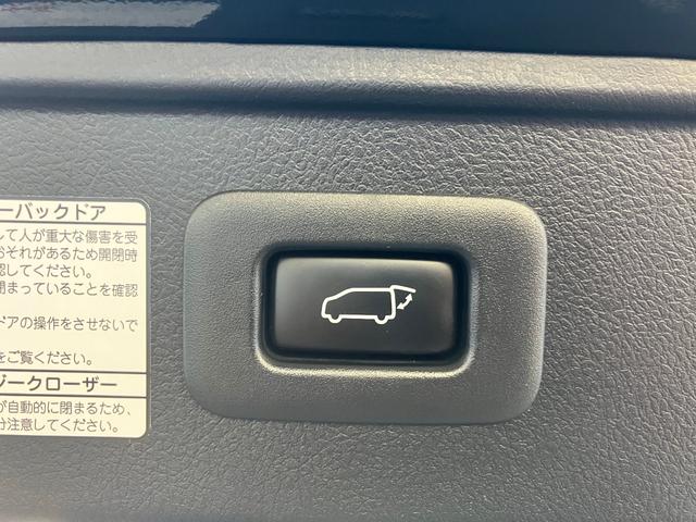 ヴェルファイア ２．４Ｚ　Ｇエディション　デリスタエアロ　　ＷＯＲＫ２０インチアルミ　ＡＬＰＩＮＥ１１型ナビ　ＥＴＣ　フルセグＴＶ　バックカメラ　ＬＥＤヘッドライト　両側電動スライドドア　パワーバックドア（24枚目）