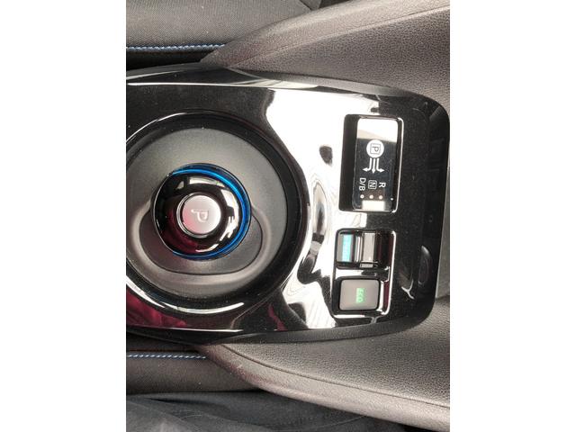 リーフ X 10万台記念車(24枚目)