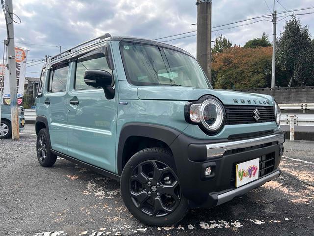 ハスラー タフワイルドターボ 全周囲カメラ TV クリアランスソナー オートクルーズコントロール レーンアシスト 衝突被害軽減システム オートライト LEDヘッドランプ スマートキー アイドリングストップ 電動格納ミラー(13枚目)