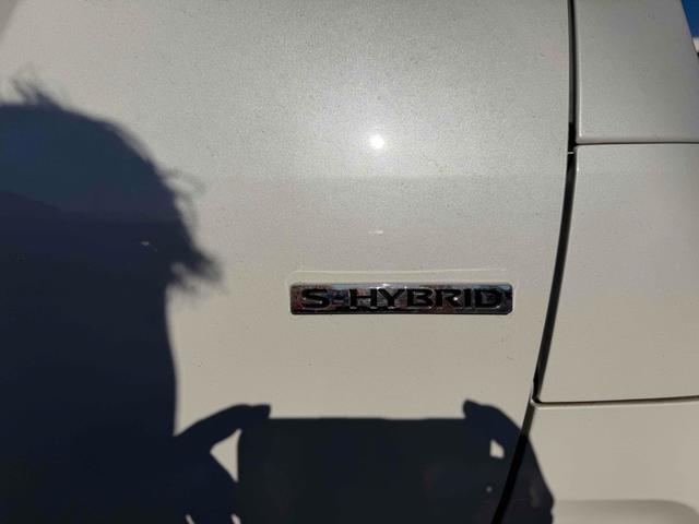 ルークス Ｓ　ドライブレコーダー　ＥＴＣ　バックカメラ　ナビ　ＴＶ　クリアランスソナー　衝突被害軽減システム　オートライト　キーレスエントリー　アイドリングストップ　電動格納ミラー　ベンチシート　ＣＶＴ（19枚目）