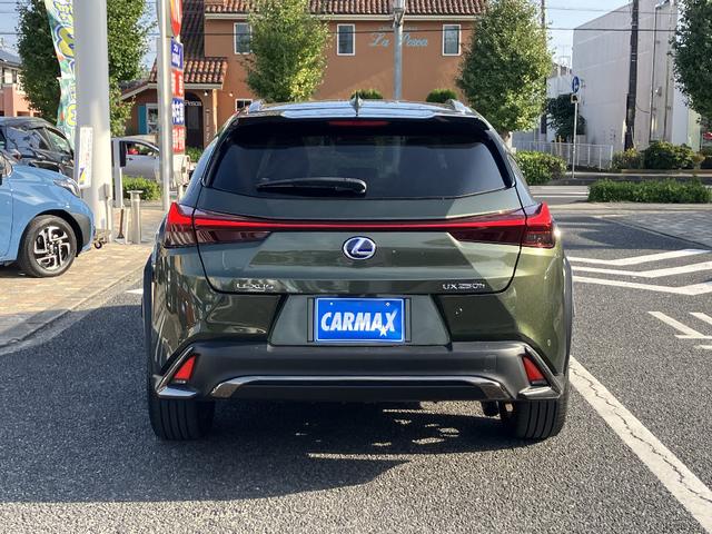 UX UX250h Fスポーツ パノラミックビューモニター ナビ TV ブラックレザーシート クリアランスソナー レーダークルコン レーンアシスト パワーシート 衝突軽減 LED 電動リアゲート スマートキー シートヒーター BSM(19枚目)