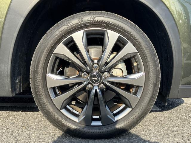 UX UX250h Fスポーツ パノラミックビューモニター ナビ TV ブラックレザーシート クリアランスソナー レーダークルコン レーンアシスト パワーシート 衝突軽減 LED 電動リアゲート スマートキー シートヒーター BSM(21枚目)