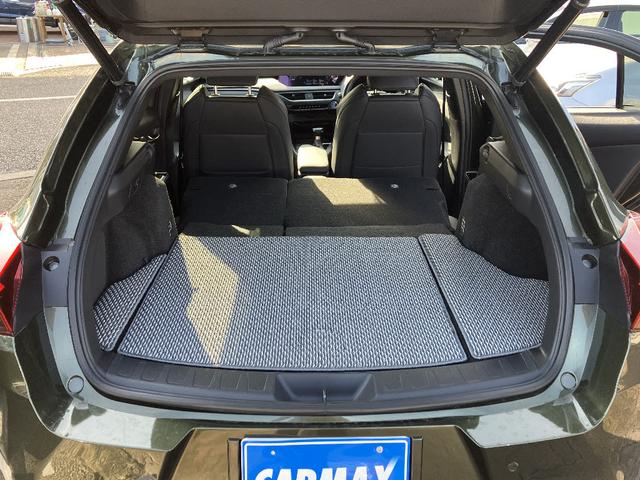 UX UX250h Fスポーツ パノラミックビューモニター ナビ TV ブラックレザーシート クリアランスソナー レーダークルコン レーンアシスト パワーシート 衝突軽減 LED 電動リアゲート スマートキー シートヒーター BSM(24枚目)