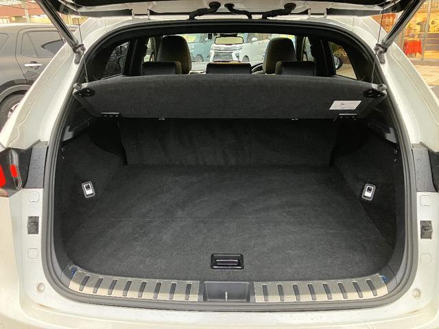 ＮＸ ＮＸ３００　Ｆスポーツ　４ＷＤ　サンルーフ　ＴＲＤマフラー　パノラミックビューモニター　純正ナビ　ＴＶ　スマートキー　レーダークルコン　レーンアシスト　衝突被害軽減　オートマチックハイビーム　ＬＥＤ　パワーバックドア　ＥＴＣ（21枚目）