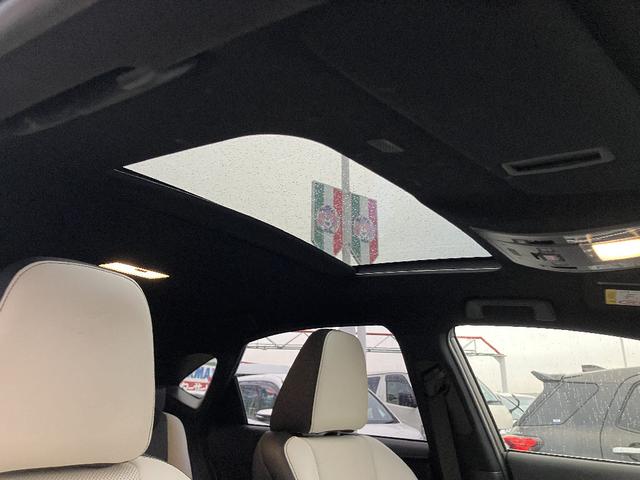 ＮＸ ＮＸ３００　Ｆスポーツ　４ＷＤ　サンルーフ　ＴＲＤマフラー　パノラミックビューモニター　純正ナビ　ＴＶ　スマートキー　レーダークルコン　レーンアシスト　衝突被害軽減　オートマチックハイビーム　ＬＥＤ　パワーバックドア　ＥＴＣ（30枚目）